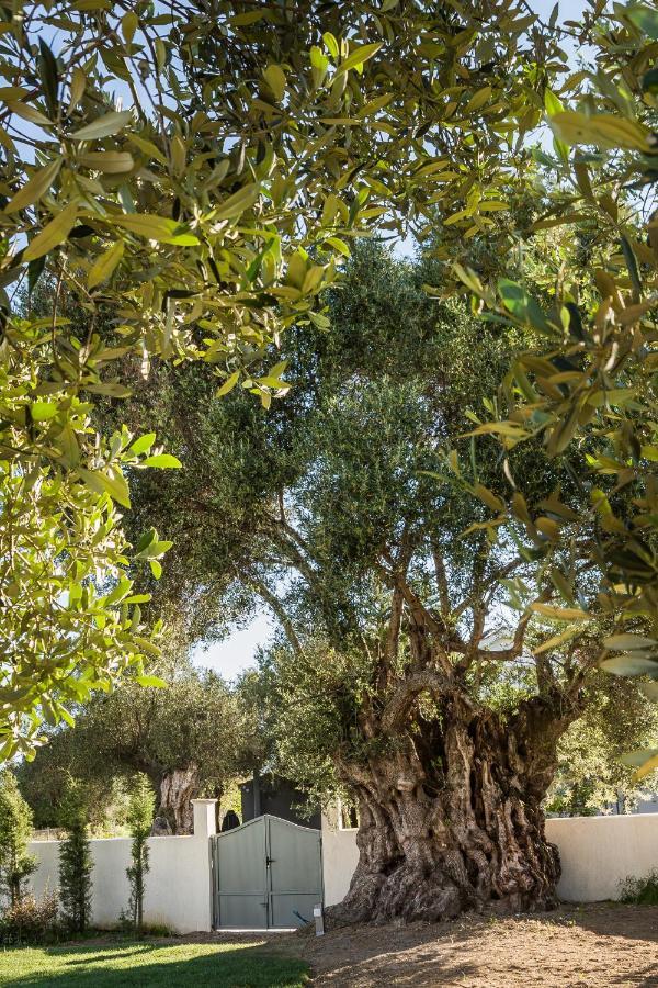 Villa Laoura Svoronata Exteriér fotografie